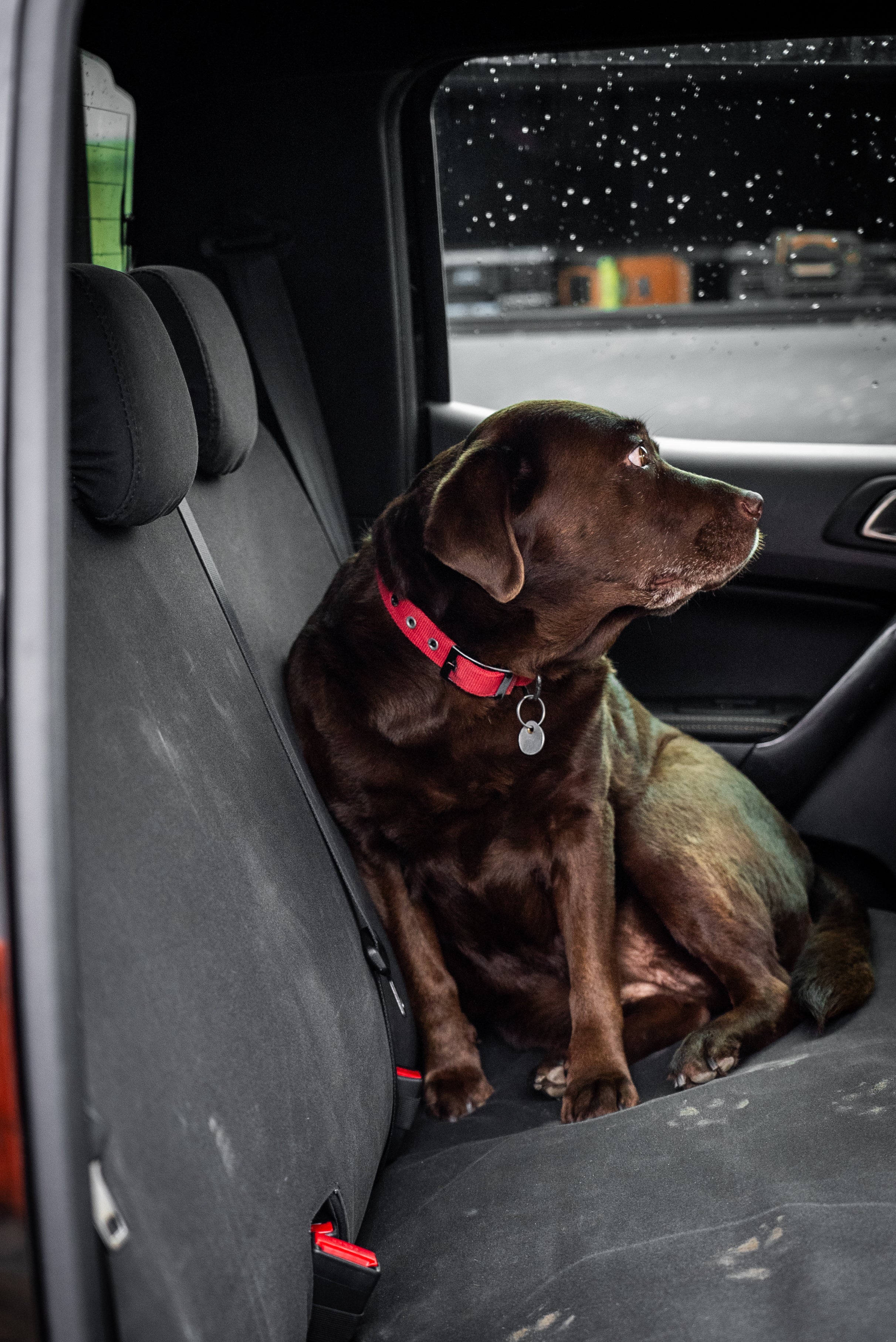 Ford Ranger 2022+ - Next Gen XL,XLT Seat Covers