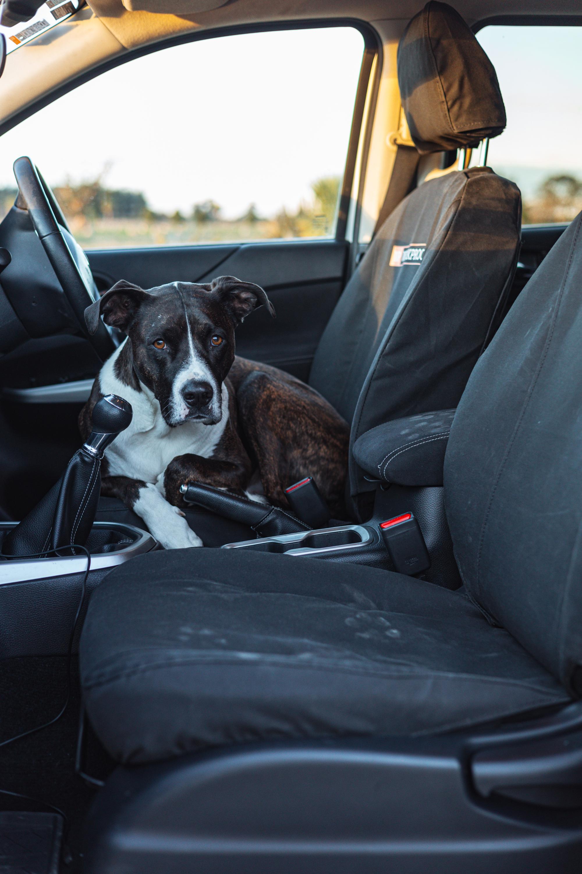 Mazda Bounty 1999 - 2008 Seat Cover