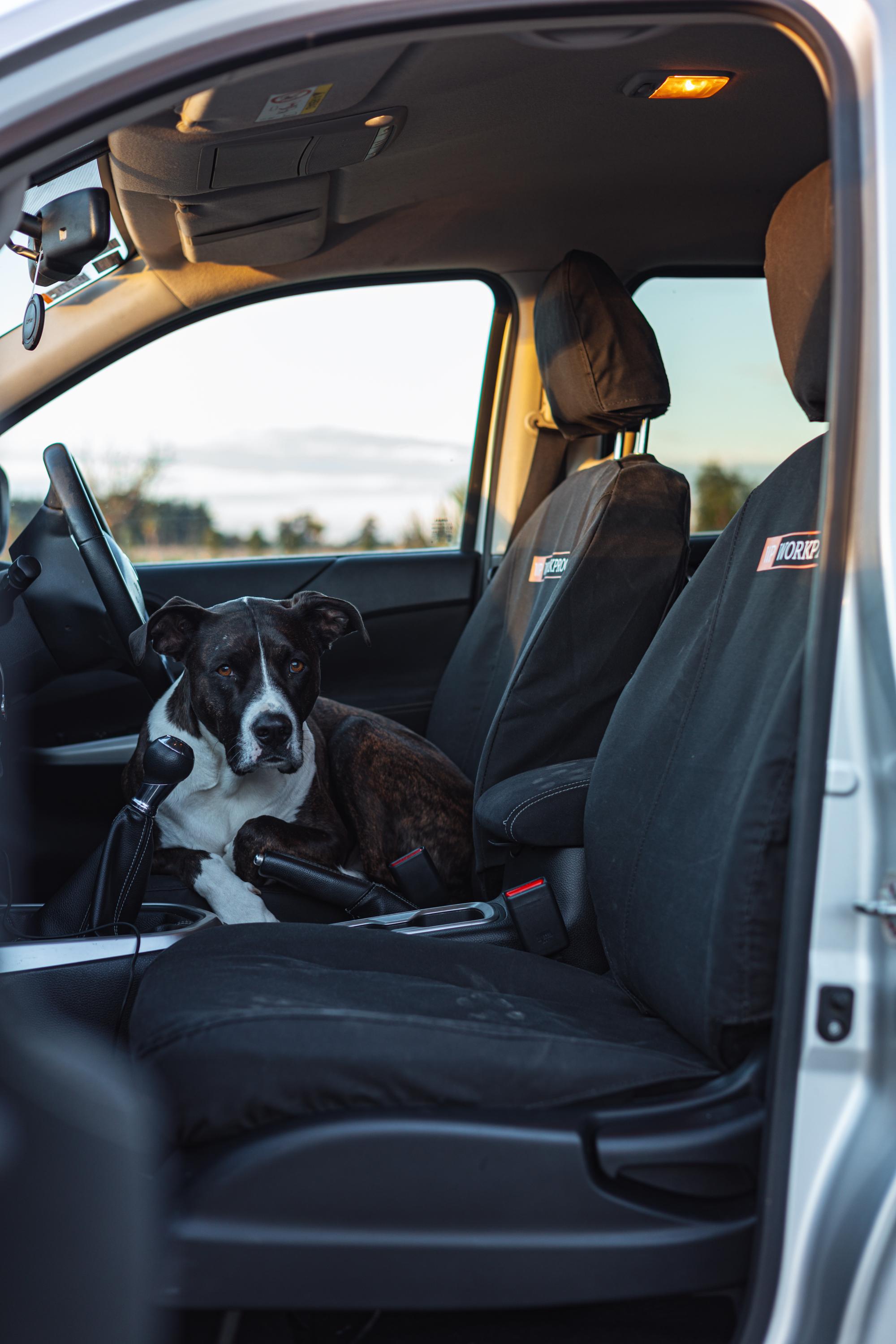 Toyota Hilux 2016+ Seat Covers